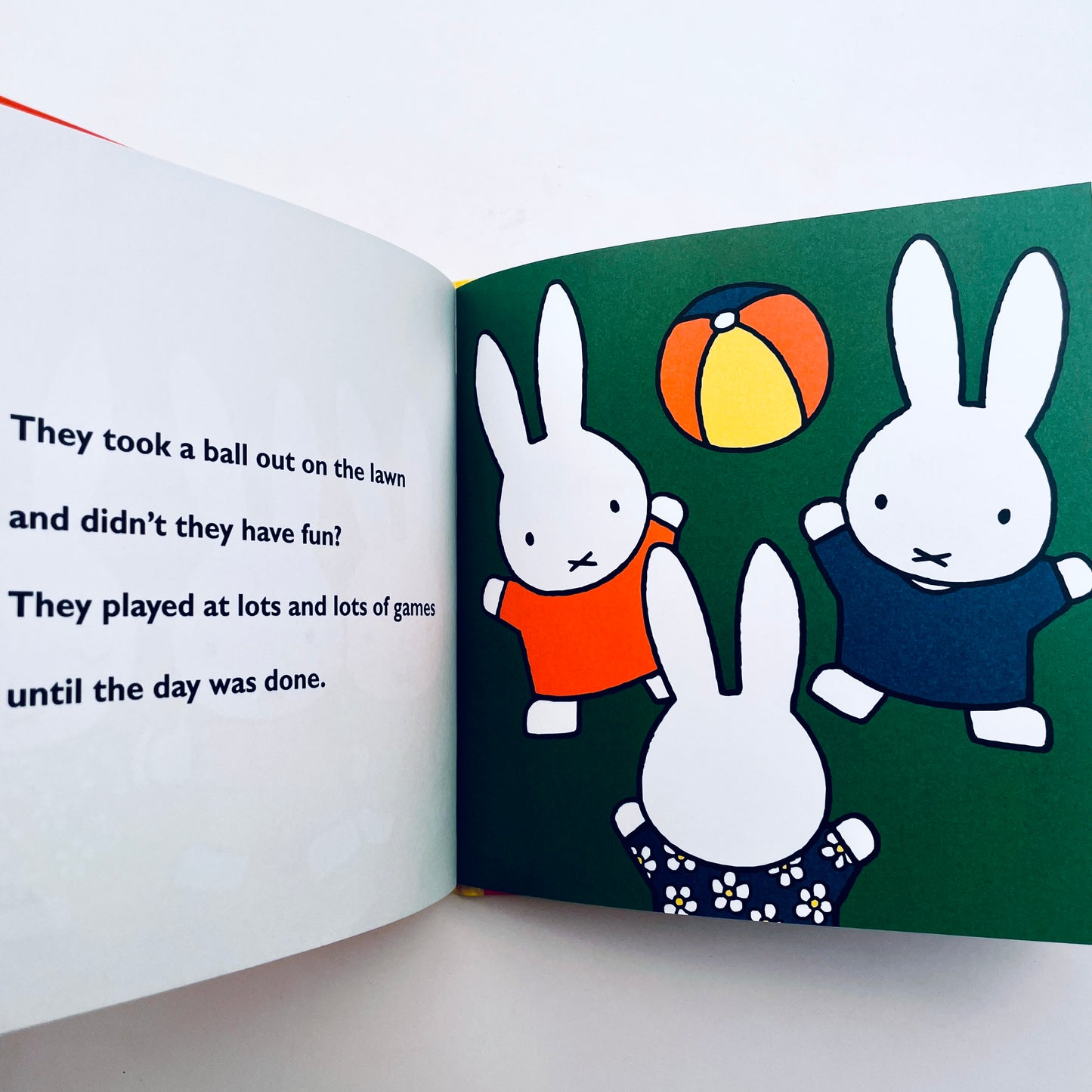 Miffy's Birthday