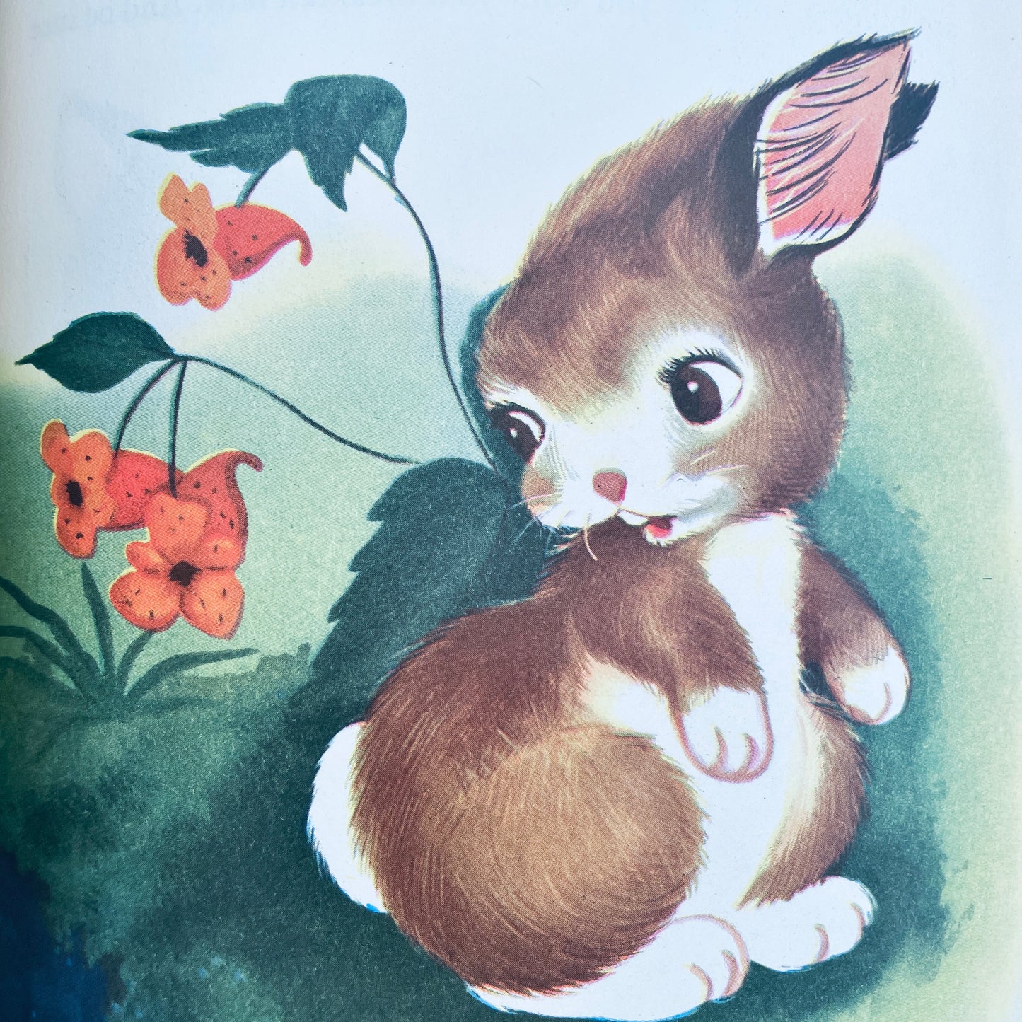 The Hungry Little Bunny and What He Found Out, 1950