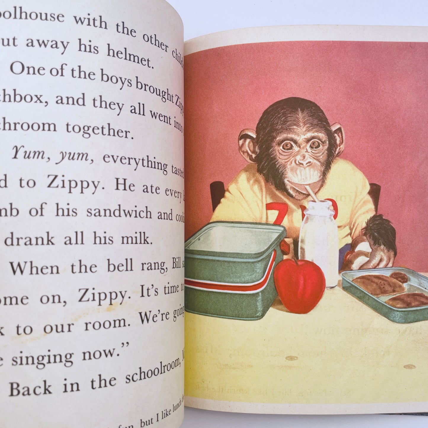 Zippy Goes to School, 1954
