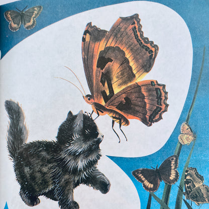 Little Pussycat