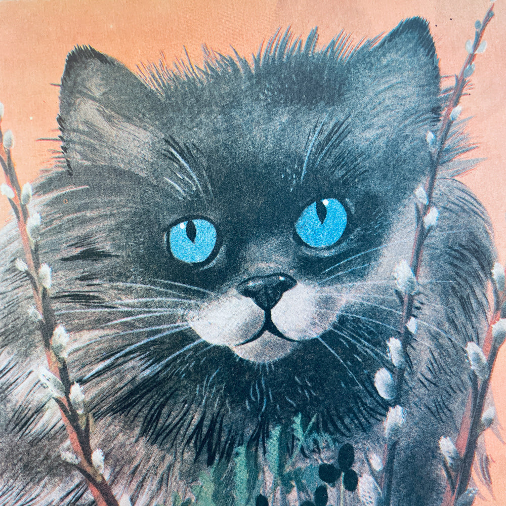 Little Pussycat