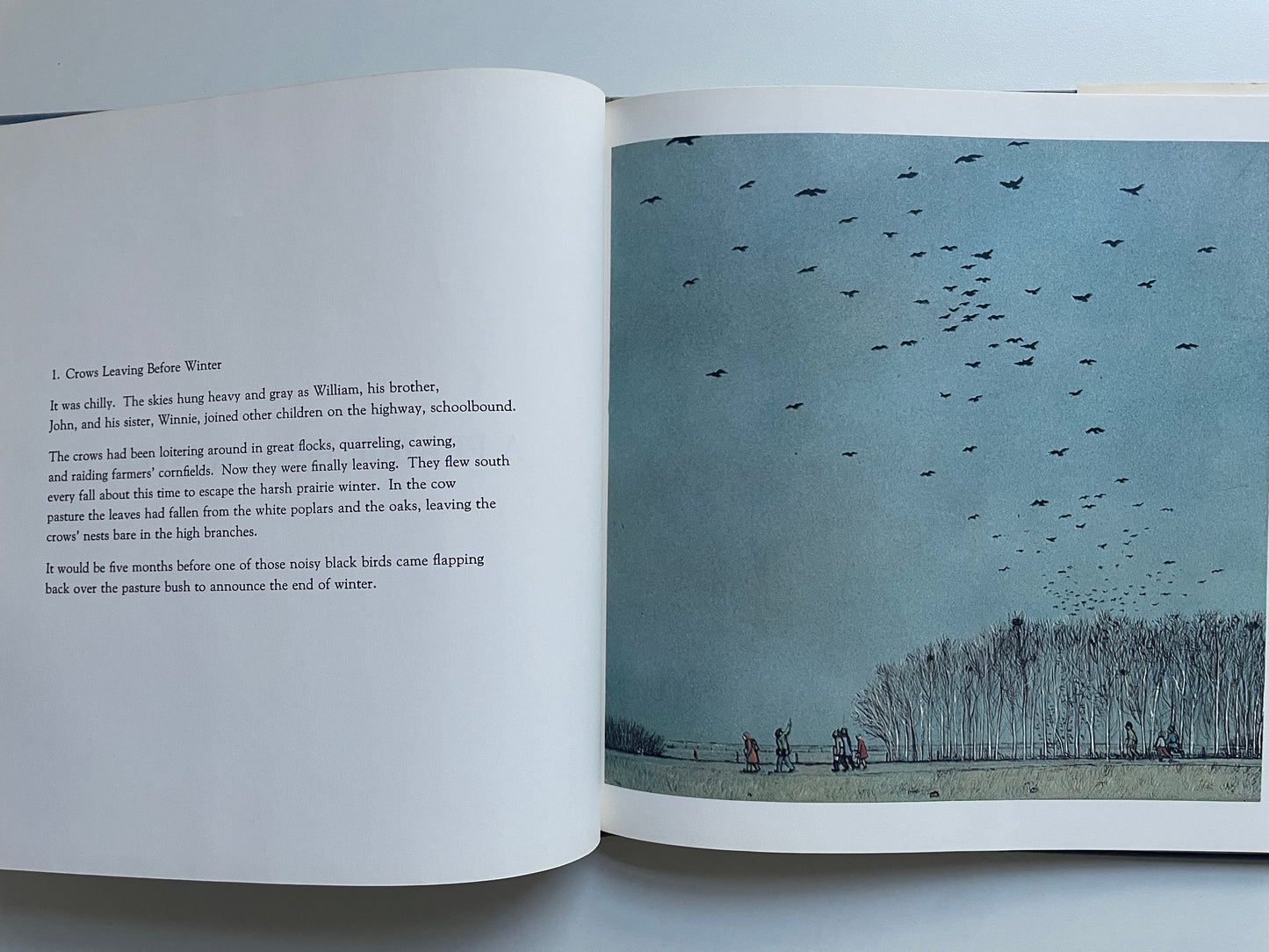 A Prairie Boy's Winter