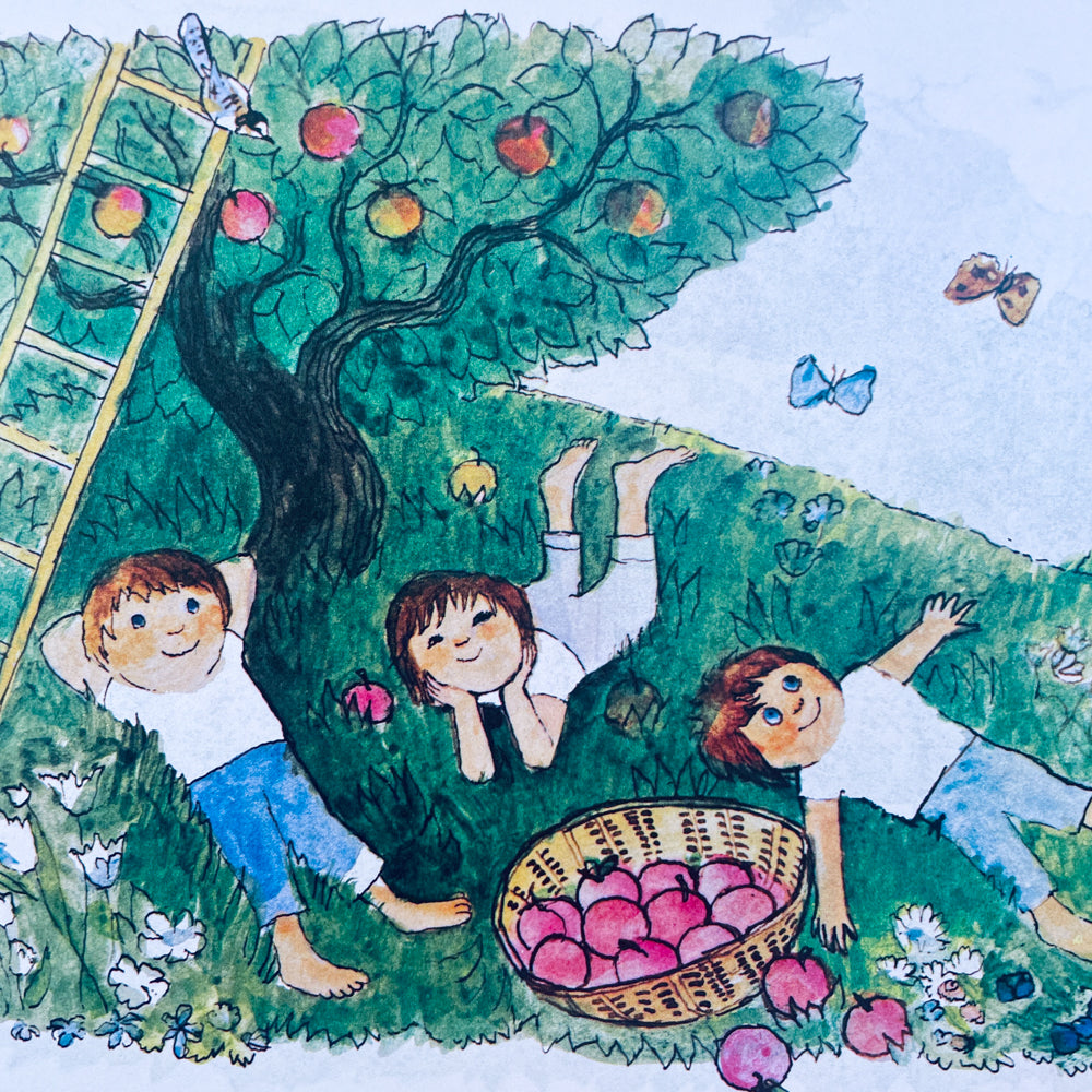 El libro de las estaciones / A Book of Seasons (bilingual Spanish-English)