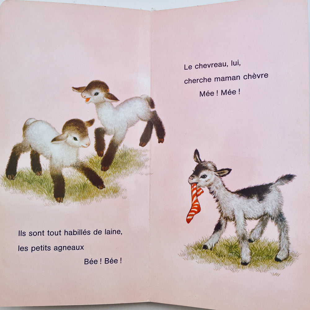 Bébés Animaux (Baby Animals–French)