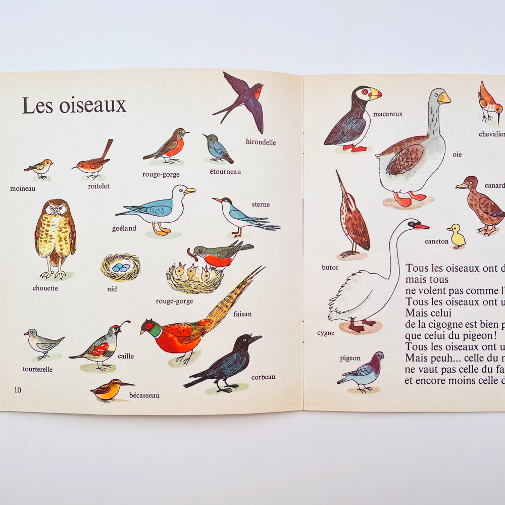 Les Animaux (About Animals–French)