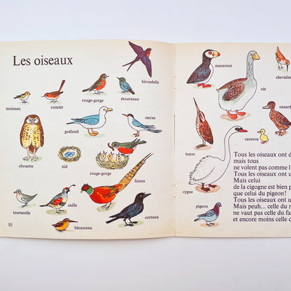 Les Animaux (About Animals–French)