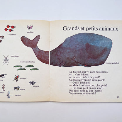 Les Animaux (About Animals–French)