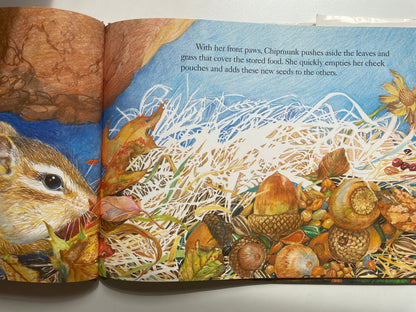 Chipmunk at Hollow Tree Lane (Smithsonian's Backyard Book)
