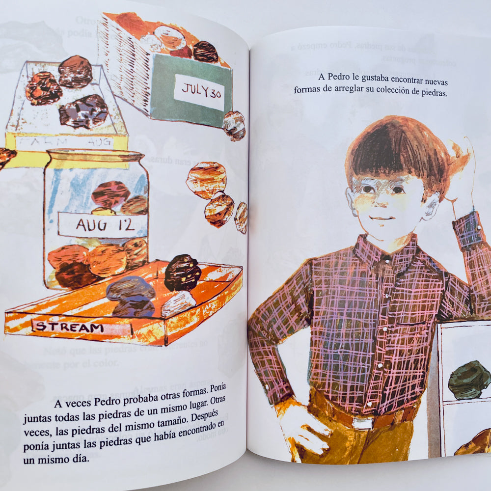 Pedro y las Piedras / Peter and the Rocks (bilingual Spanish-English)