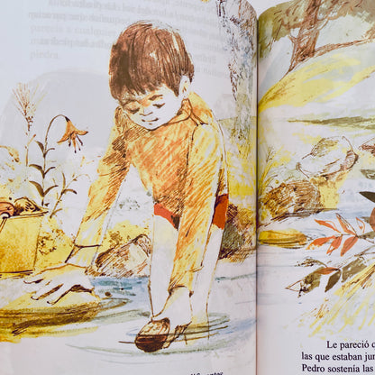 Pedro y las Piedras / Peter and the Rocks (bilingual Spanish-English)