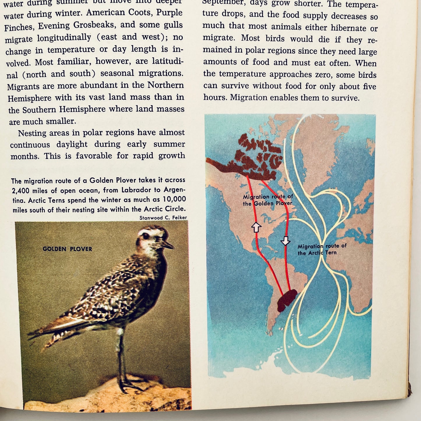 The Golden Book Encyclopedia of Natural Science, Volume 10