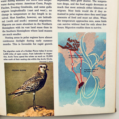 The Golden Book Encyclopedia of Natural Science, Volume 10