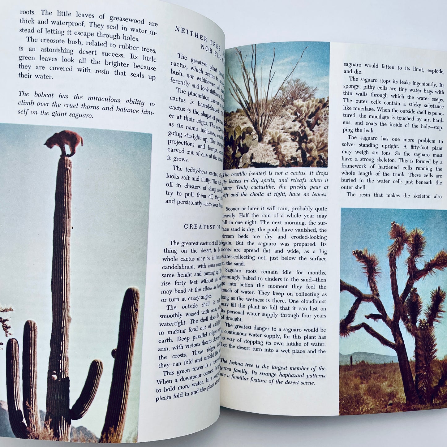 Walt Disney's Worlds of Nature