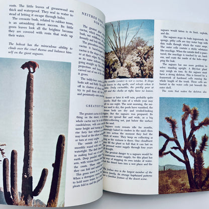 Walt Disney's Worlds of Nature