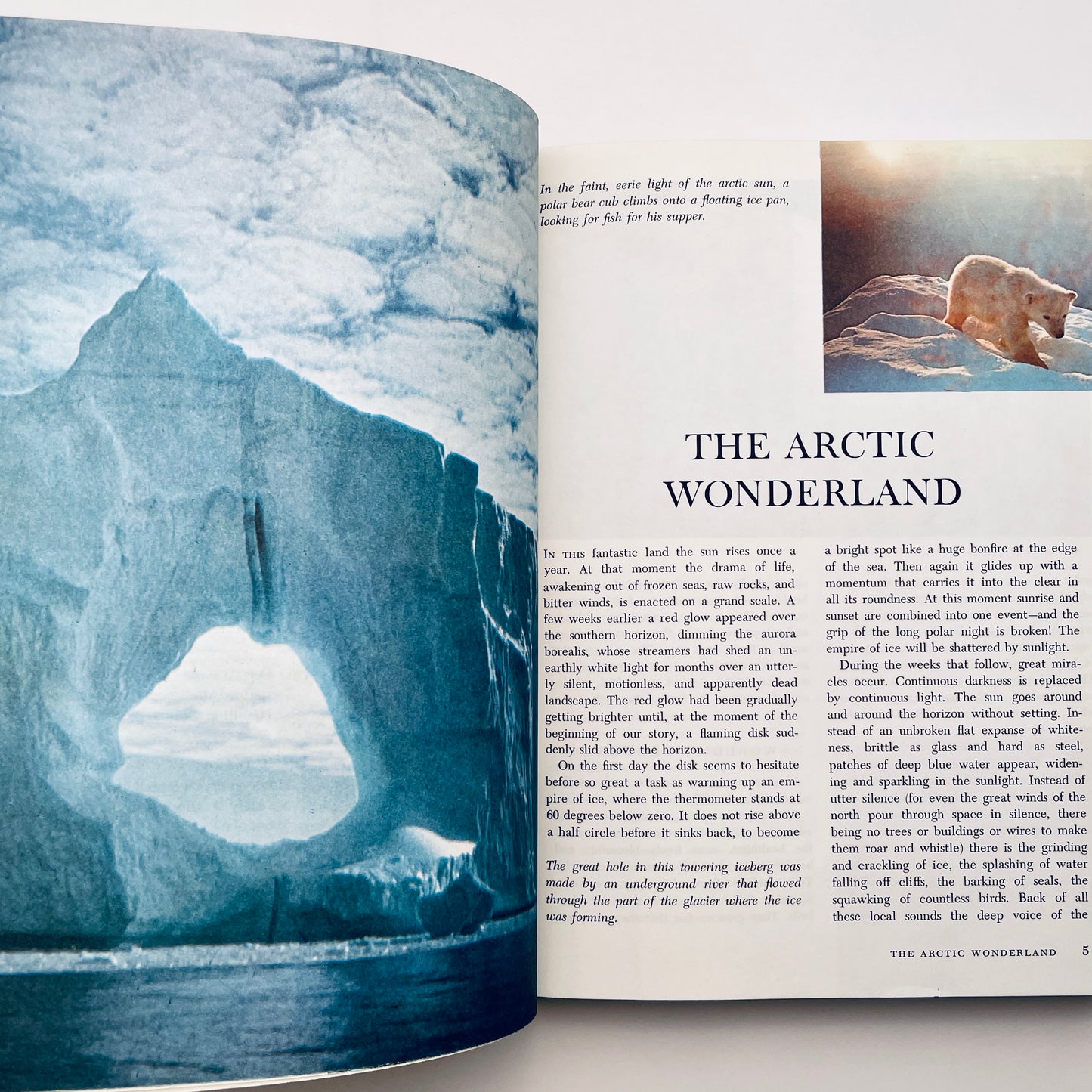 Walt Disney's Worlds of Nature