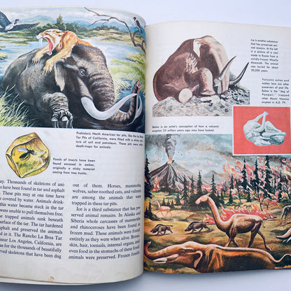 The How and Why Wonder Books of Prehistoric Mammals
