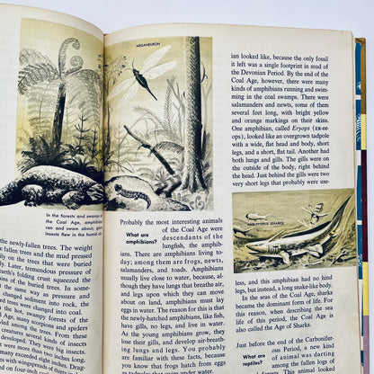 The How and Why Wonder Books of Prehistoric Mammals