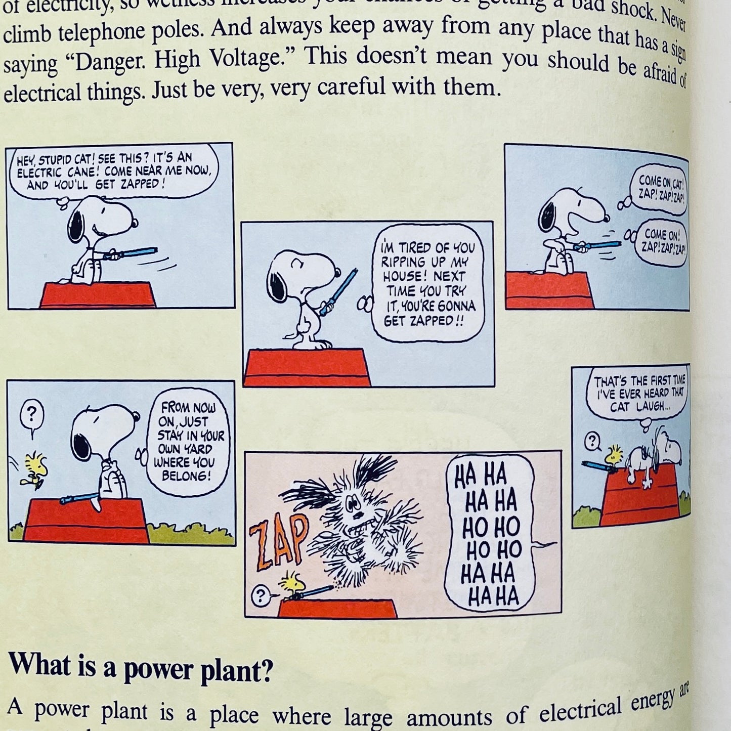 Charlie Brown's 'Cyclopedia, Vol. 15: Featuring Electricity and Magnetism