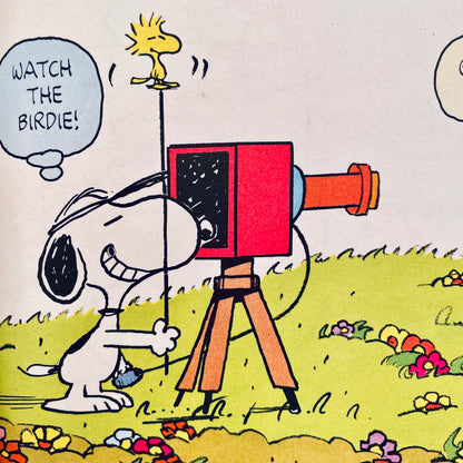 Charlie Brown's 'Cyclopedia, Vol. 15: Featuring Electricity and Magnetism