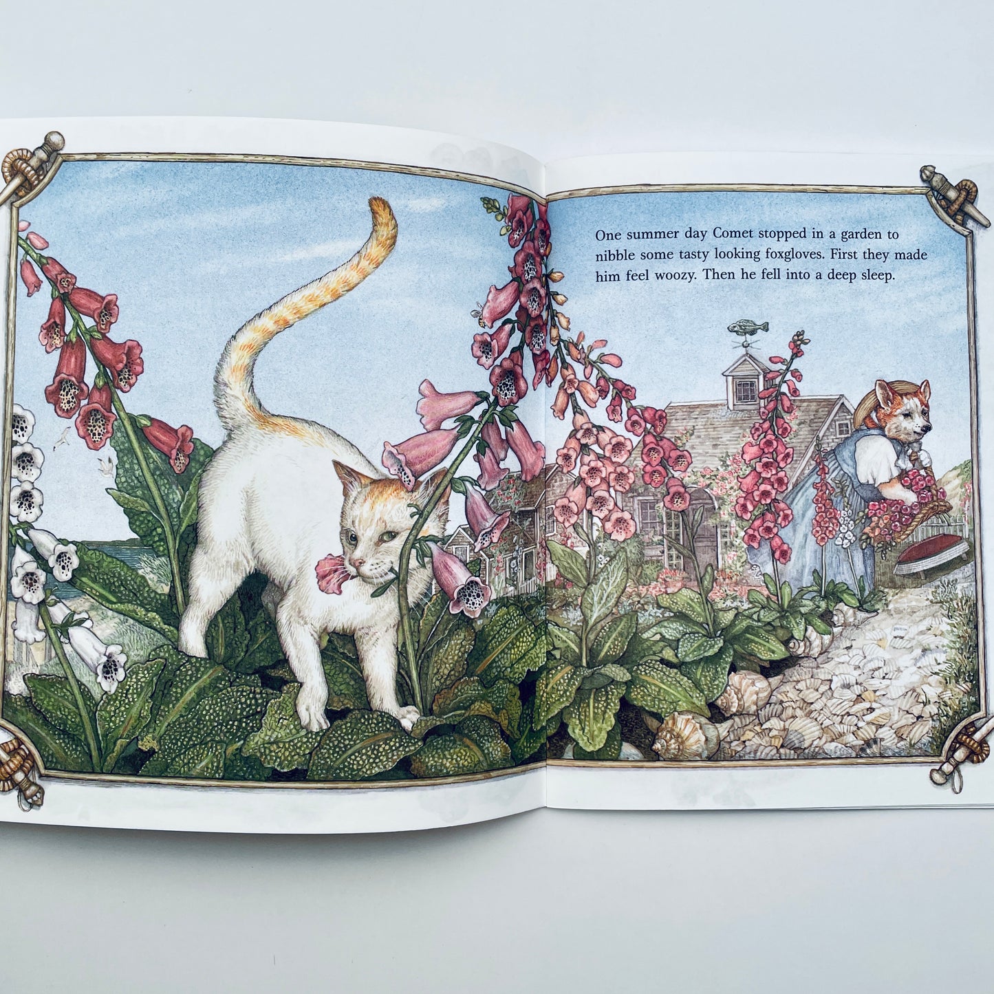 Comet's Nine Lives
