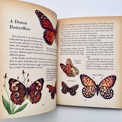 Butterflies and Moths (The Golden Library of Knowledge)