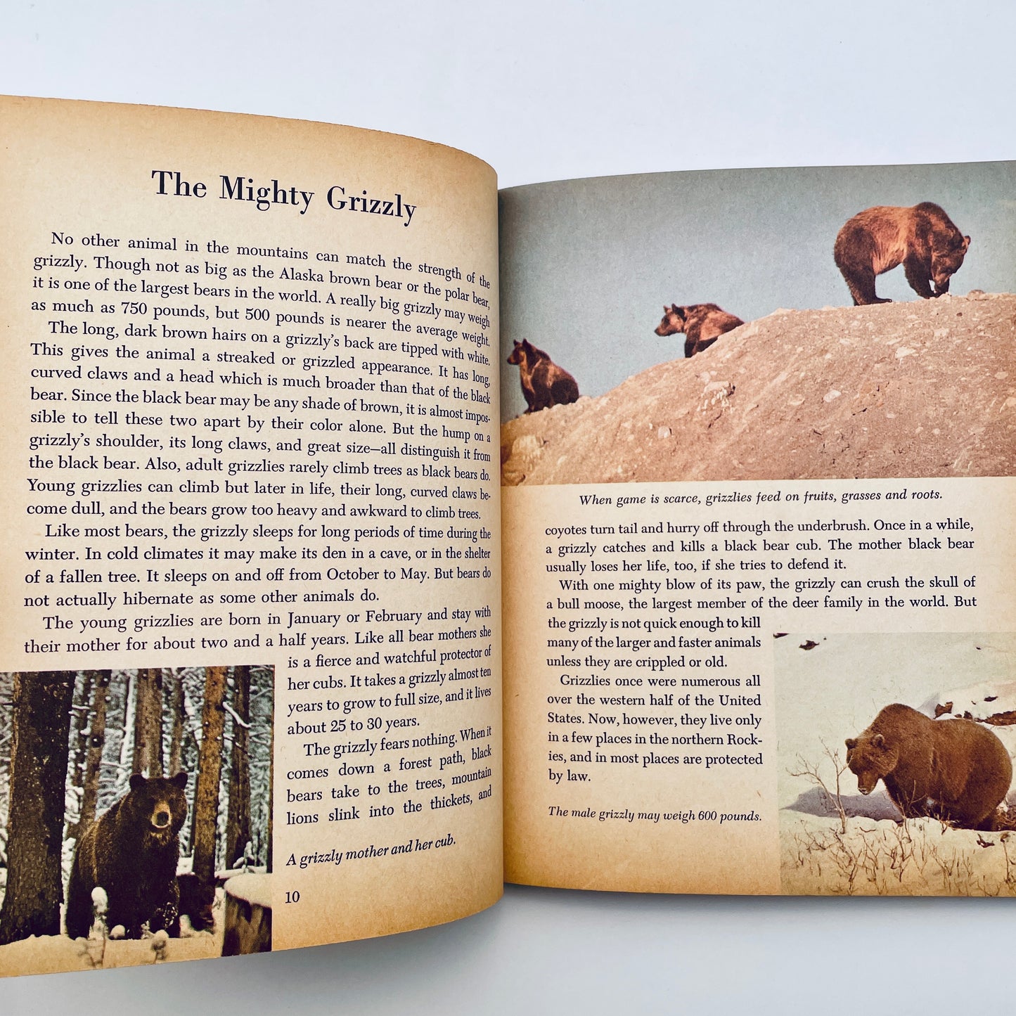 Walt Disney's Wildlife of the West (The Golden Library of Knowledge)