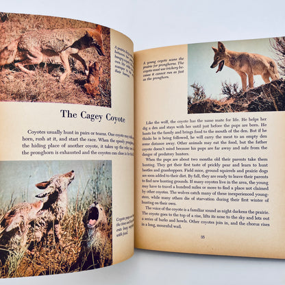 Walt Disney's Wildlife of the West (The Golden Library of Knowledge)