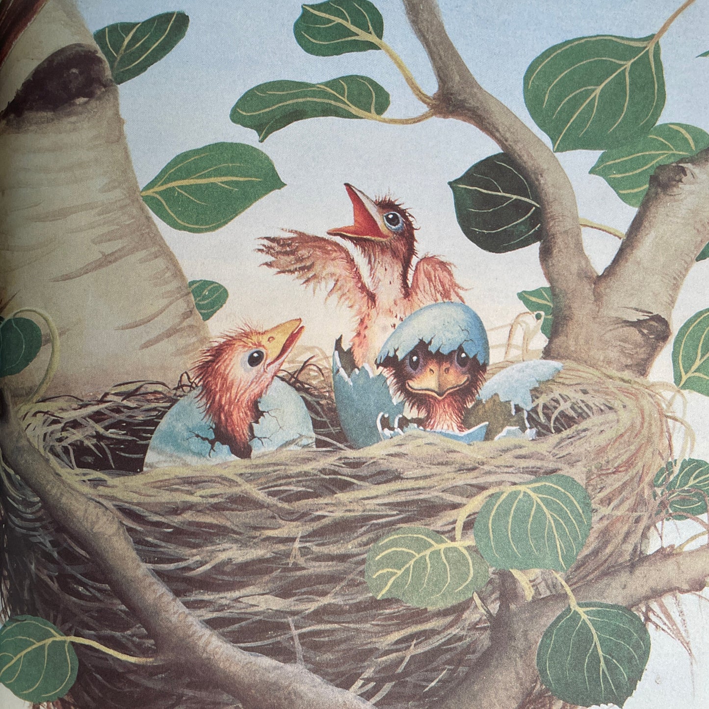 Home for a Bunny