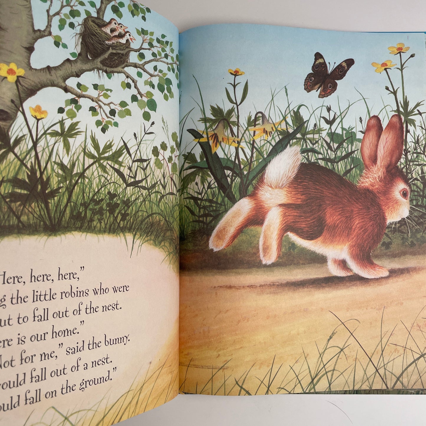 Home for a Bunny