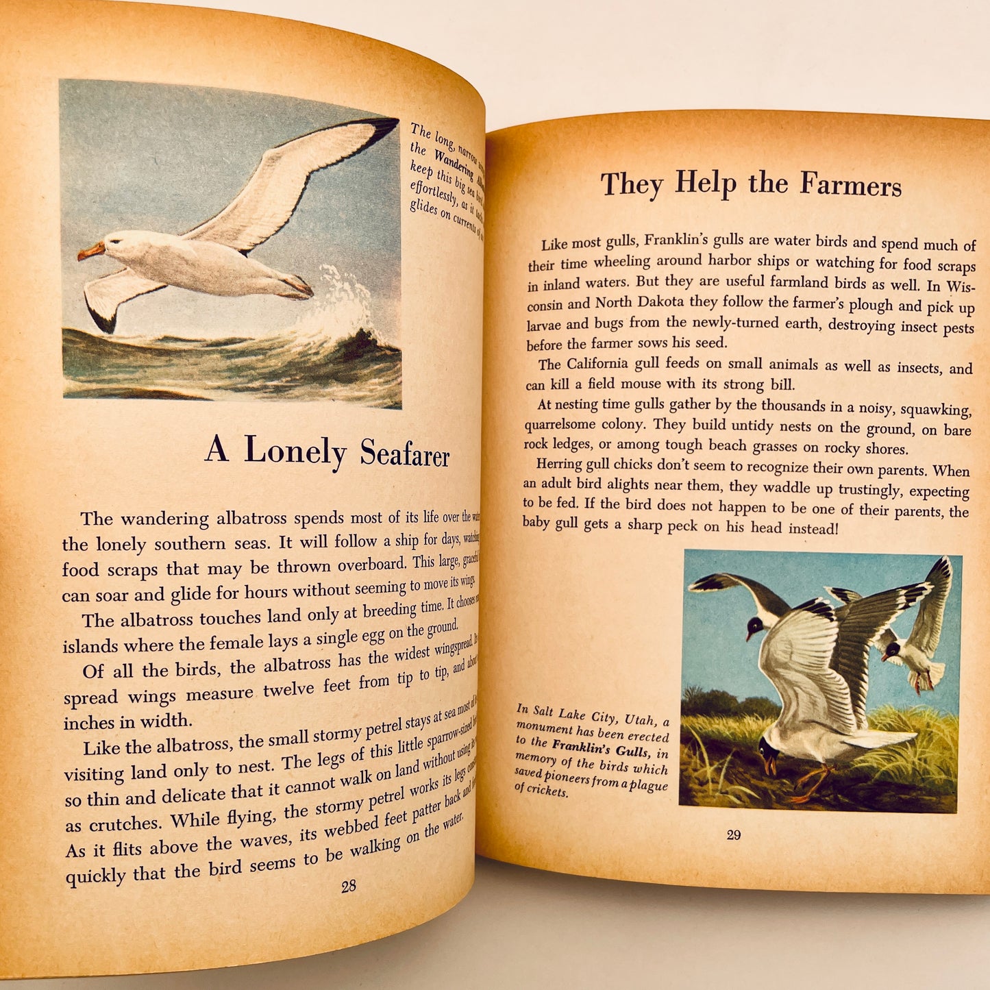 Birds of the World (The Golden Library of Knowledge)