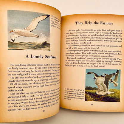 Birds of the World (The Golden Library of Knowledge)