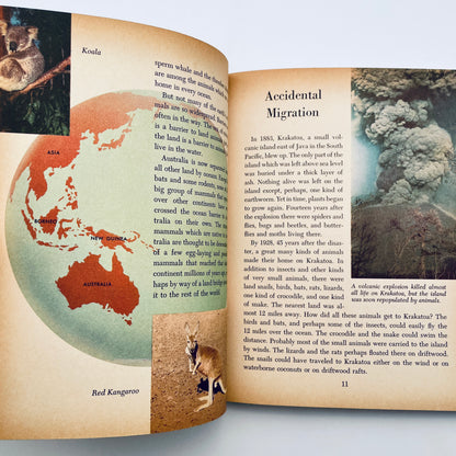 Animals and their Travels (The Golden Library of Knowledge)