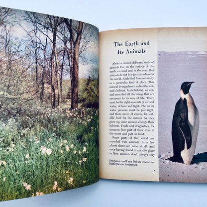 Animals and their Travels (The Golden Library of Knowledge)