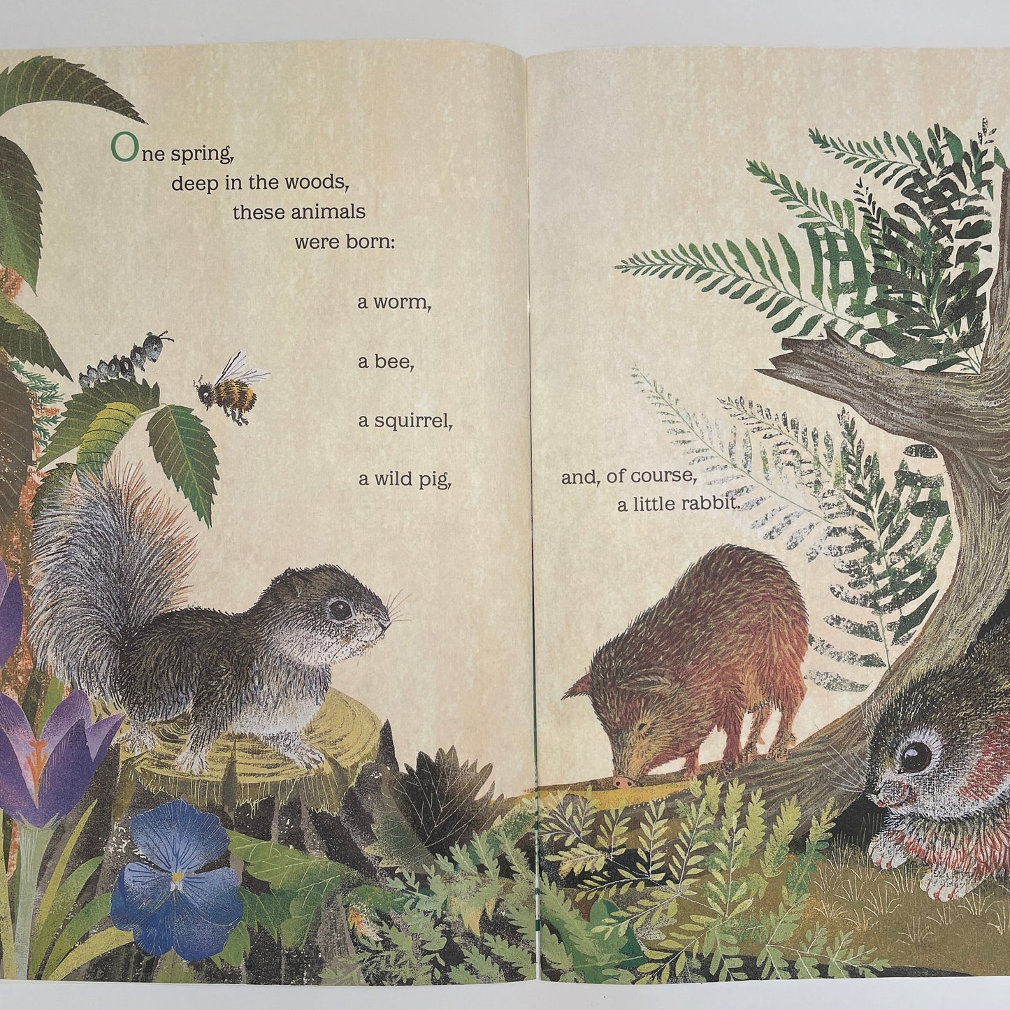 The Golden Birthday Book