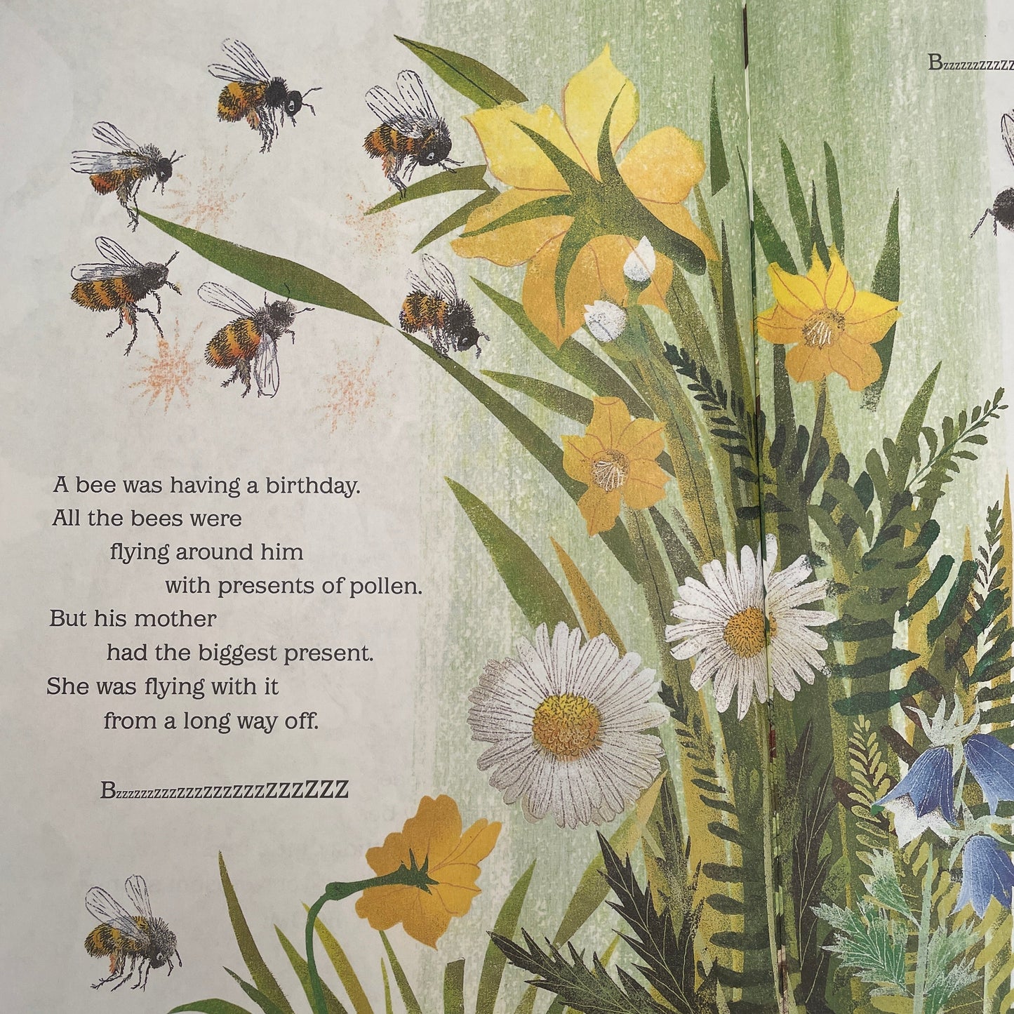 The Golden Birthday Book