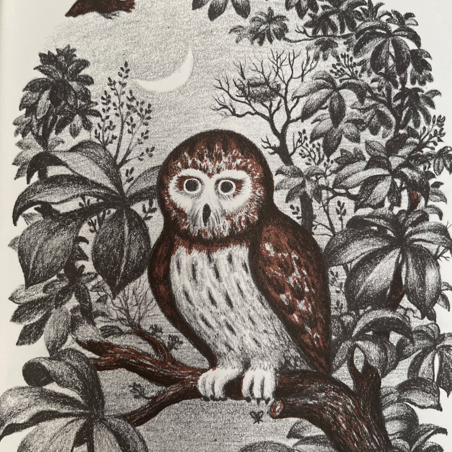 Wait Till the Moon is Full