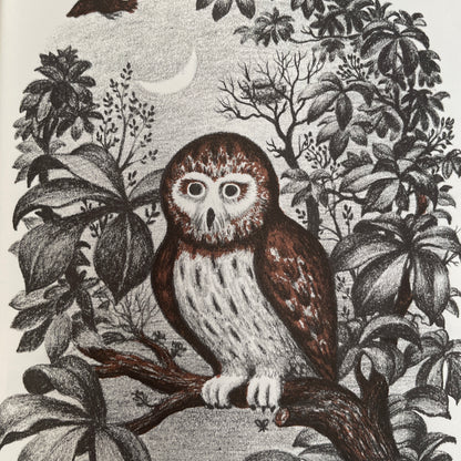 Wait Till the Moon is Full