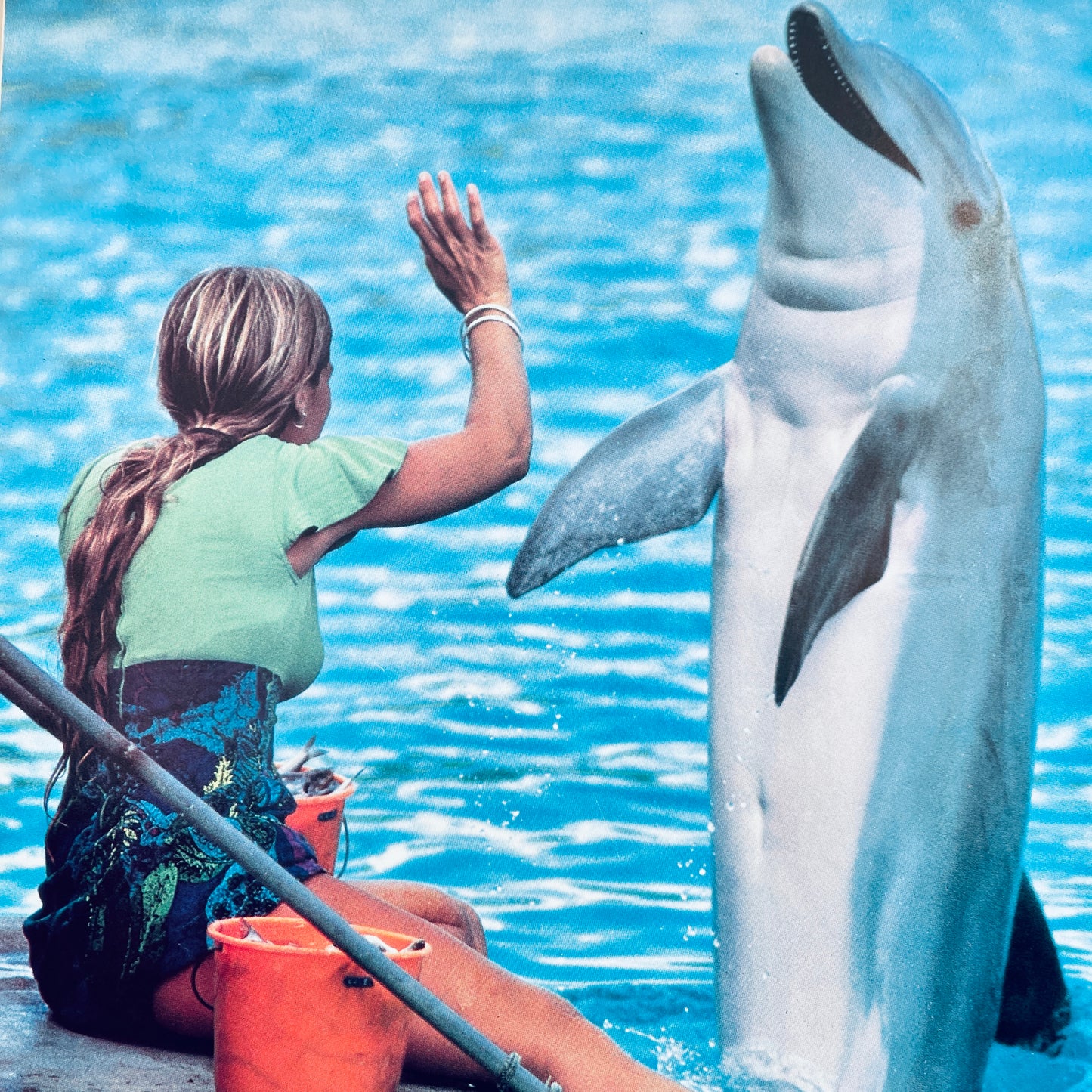 Why in the World? (National Geographic Books for World Explorers)
