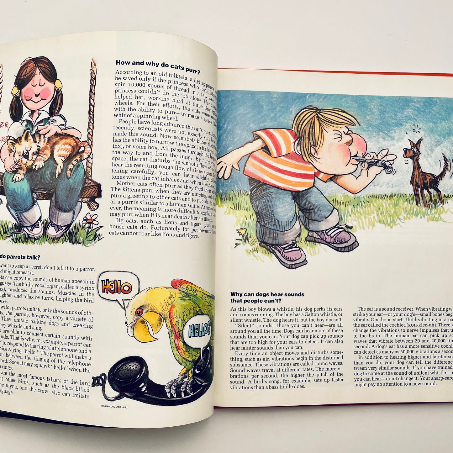 Why in the World? (National Geographic Books for World Explorers)