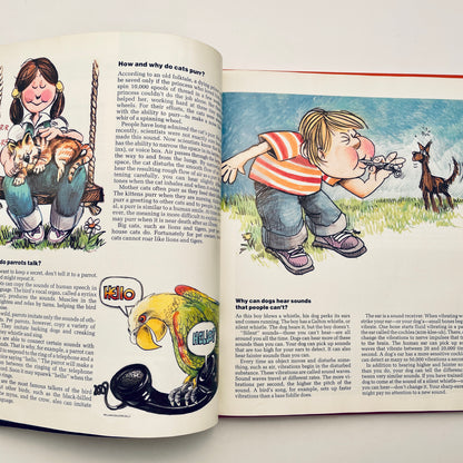 Why in the World? (National Geographic Books for World Explorers)