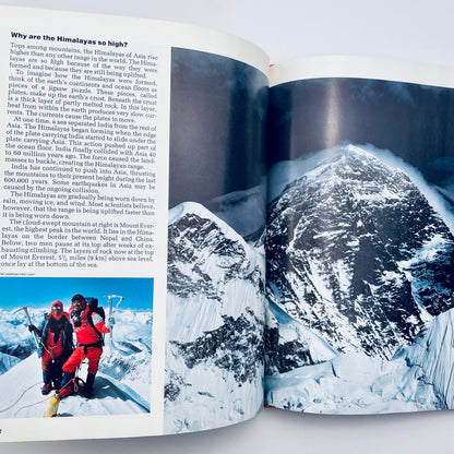 Why in the World? (National Geographic Books for World Explorers)