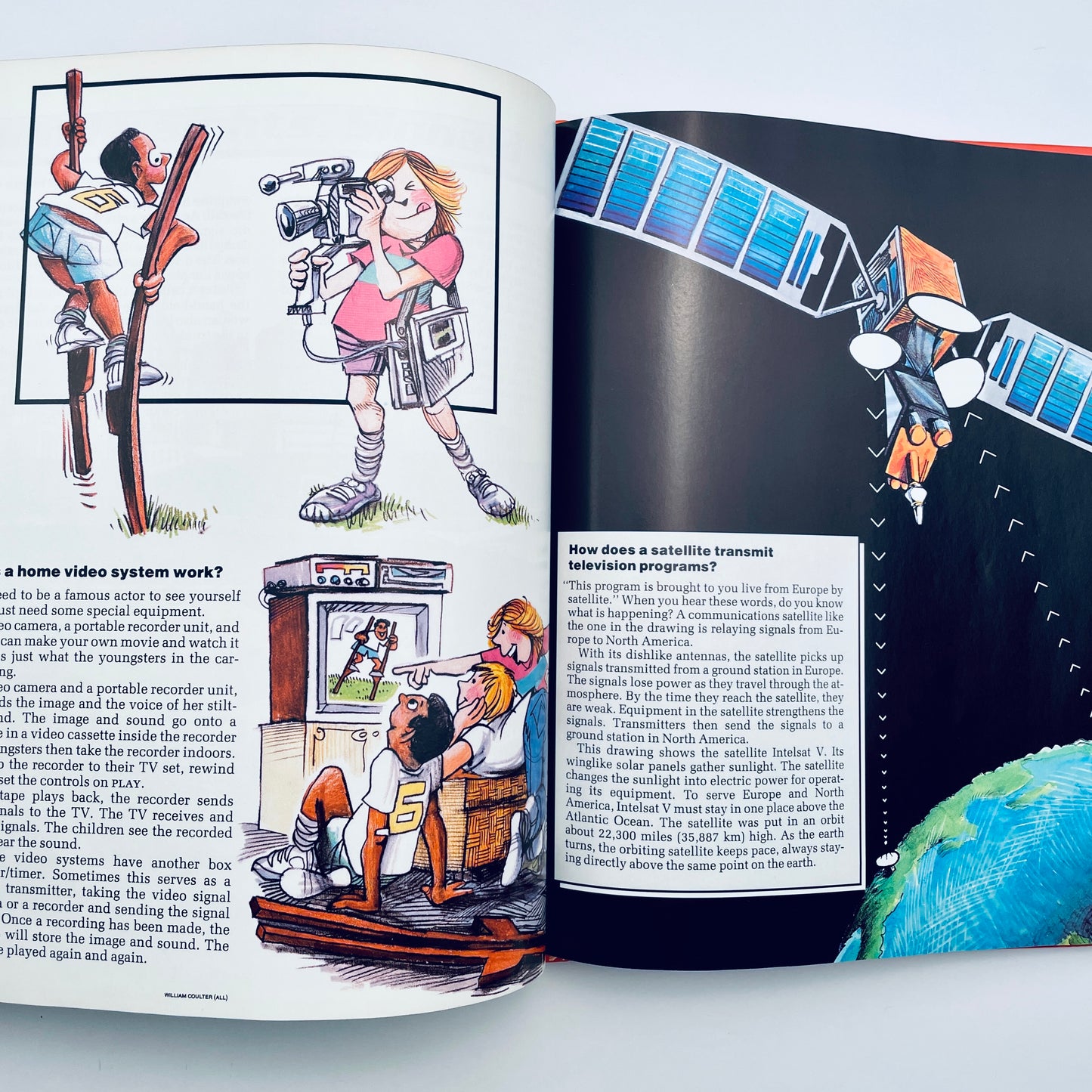 Why in the World? (National Geographic Books for World Explorers)