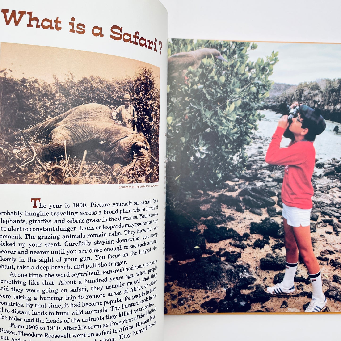 Safari! (National Geographic Books for World Explorers)