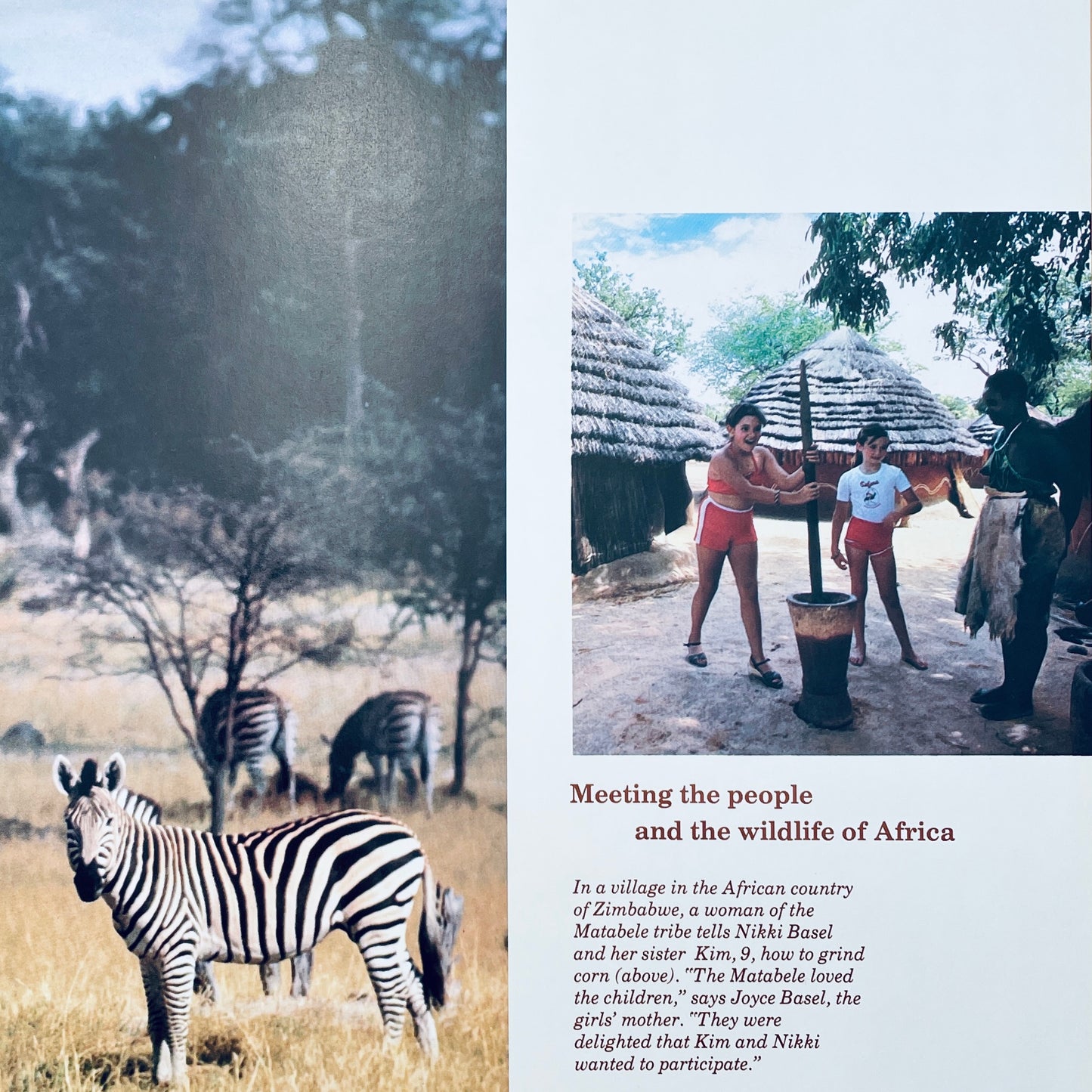 Safari! (National Geographic Books for World Explorers)