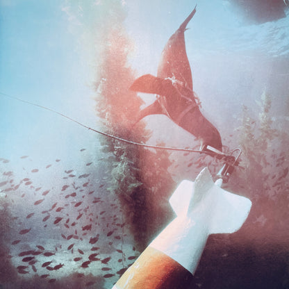 Amazing Animals of the Sea (National Geographic Books for World Explorers)