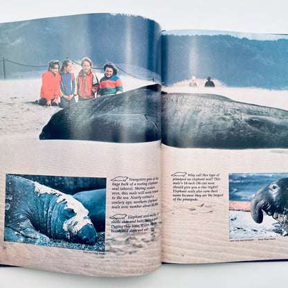 Amazing Animals of the Sea (National Geographic Books for World Explorers)