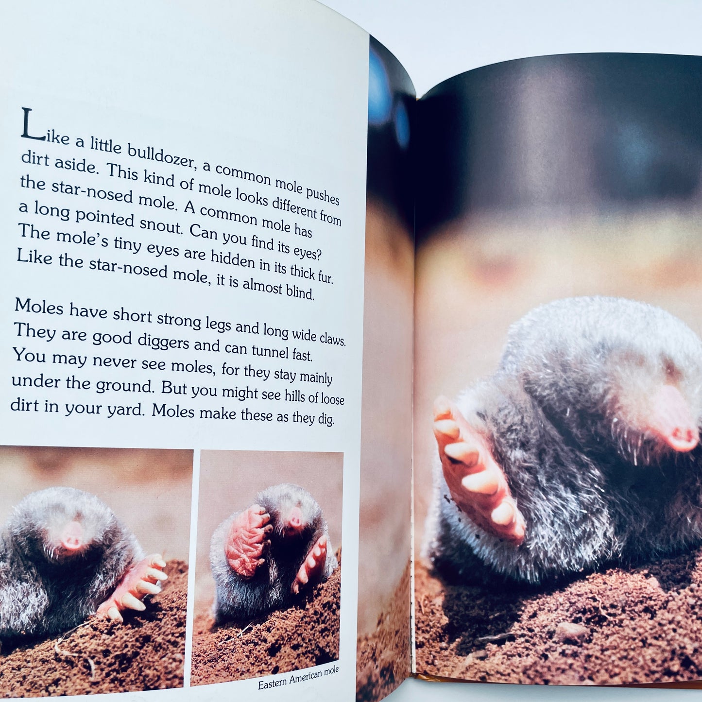 The World Beneath Your Feet (National Geographic Books for Young Explorers)