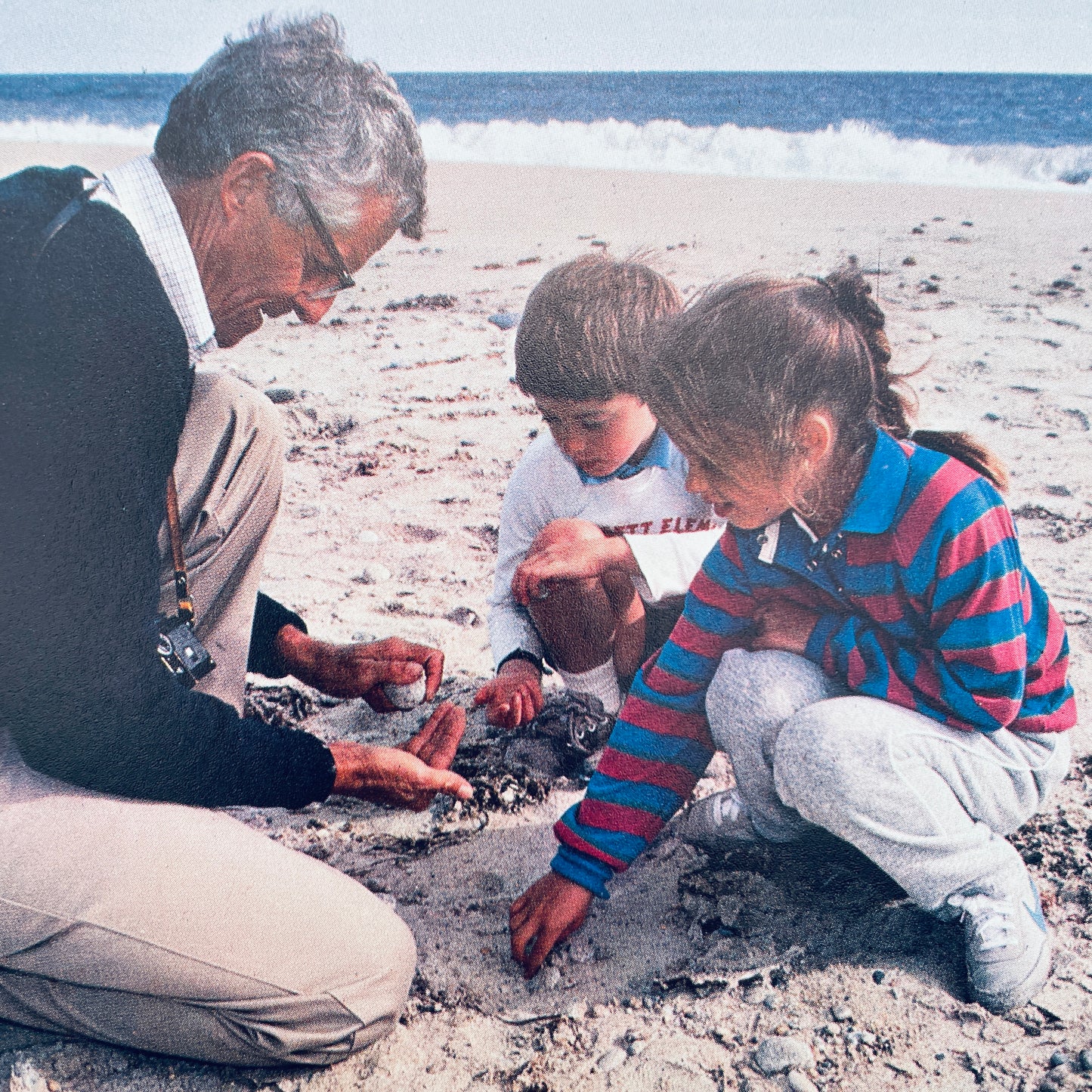 Exploring the Seashore (National Geographic Books for Young Explorers)