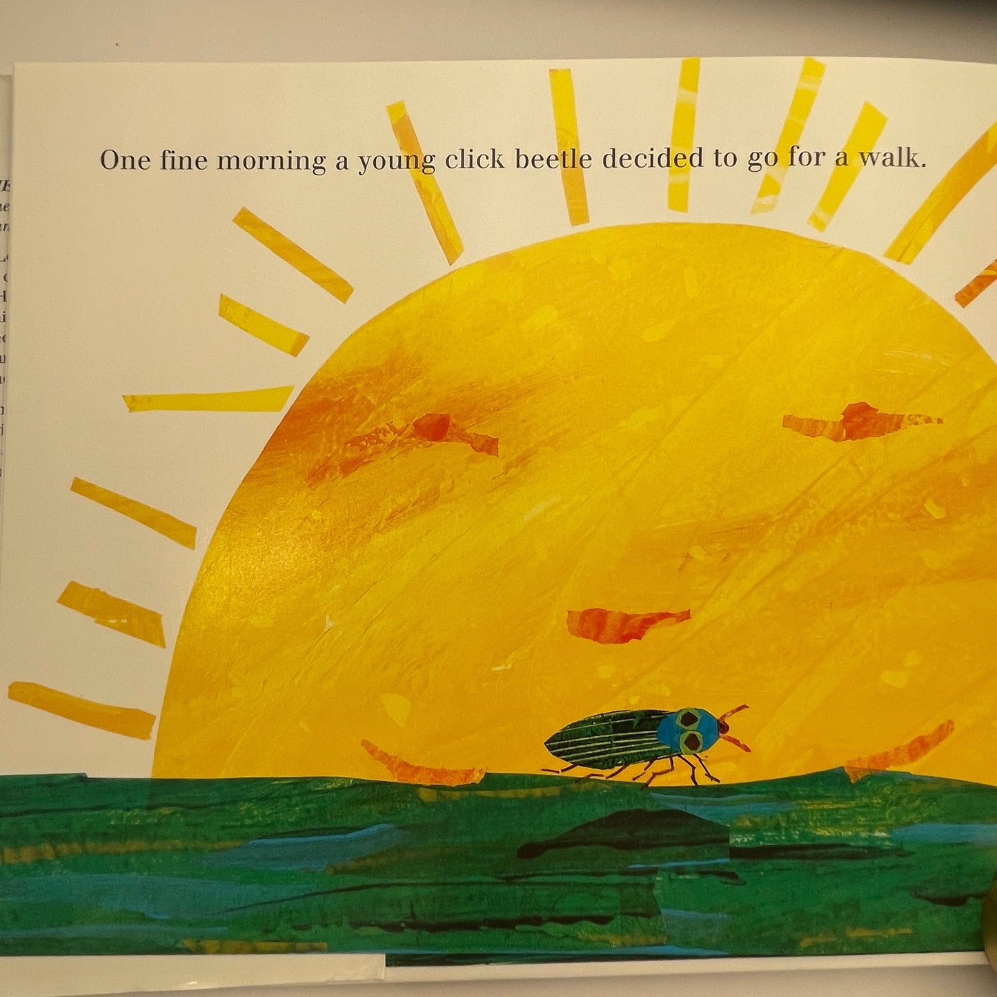 The Very Clumsy Click Beetle