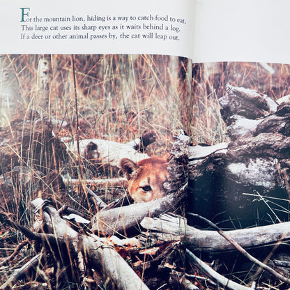 Animals and Their Hiding Places (National Geographic Books for Young Explorers)